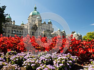British Columbia Parliament Building in full bloom