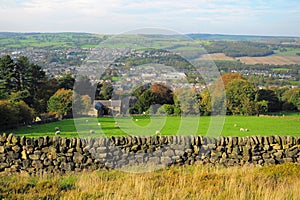 British countryside landscape: farm and sheep