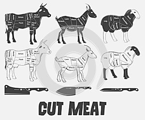 British cuts of lamb, veal, beef, goat or Animal diagram meat.