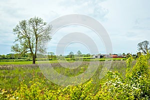 British farm fields on spring sunny day in england uk