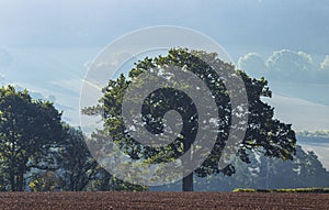 British Farming Fields in Morning Mist