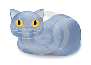 British fat cat lying character. Fluffy grey kitty muzzle