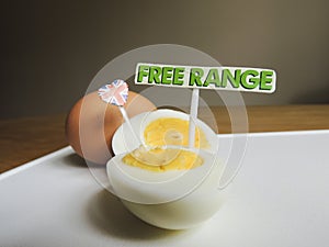 British food: free range, organic, hard boiled eggs