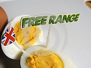 British food: free range, organic, hard boiled eggs