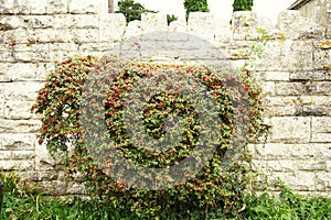 British house wall style scenic.