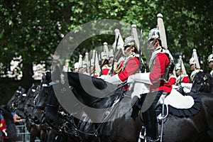 The British Household Cavalry
