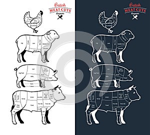 Britannico tagli diagrammi 