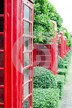 British red telephone box with old fashioned with green tree background in London, United Kingdom