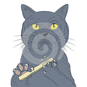 British Short hair Cat Hand Draw Vector. Sketch Illustration Of Think Cat.