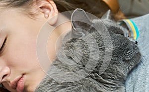 British short hair cat sleeping with a girl