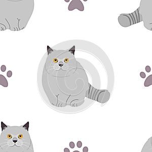 British Shorthair cat seamless pattern background with paw prints. Cartoon cat kitten background. Hand drawn childish vector