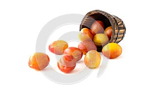 British Victoria Plums in Wooden Plant Pot and on White Background