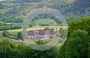 British Vineyard in the Surrey Hills, UK