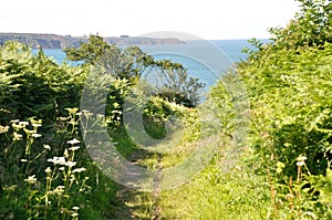 The Brittany coast