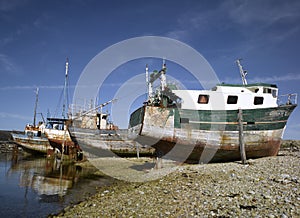 Brittany; Finistere: Harbour of Camaret
