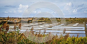 Brittany-Guerande Salt Pans 2