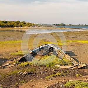 Brittany, Ile aux Moines island in the Morbihan gulf