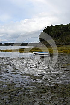 Brittany landscape in morbihan gulf with a fishing boat