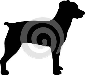 Brittany Spaniel silhouette black