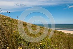 Brittas Bay. Wicklow Ireland.