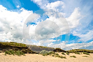 Brittas Bay. Wicklow Ireland.