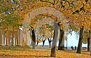 Brno, orange autumn.