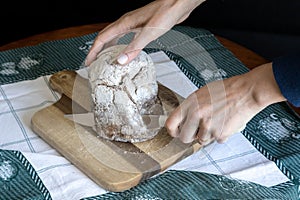 Broa de Avintes, traditional bread from Vila de Avintes, Vila Nova de Gaia, Portugal. Dark bread with corn flour, rye and barley.