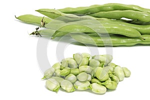 Broad bean