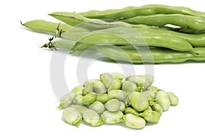 Broad bean photo