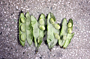 Broad bean, faba bean