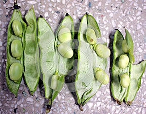 Broad bean, faba bean