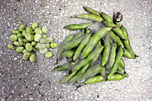 Broad bean, faba bean