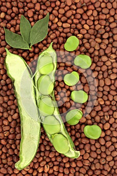 Broad Bean Legumes Healthy Nutritious Food