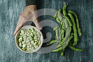 broad bean pods and man with a bowl of broad beans photo