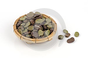 Broad Bean (Vicia faba, Fava Bean, Field Bean, Bell Bean or Tic Bean)