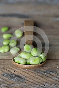 Broad bean (Vicia faba) in spoon