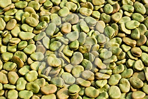 Broad Beans background photo