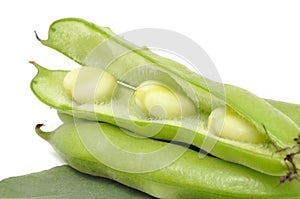 Broad Beans