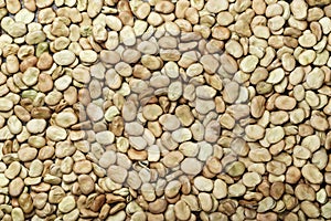 The broad beans background