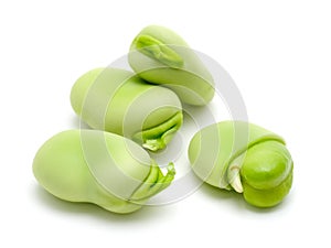 Broad Beans photo