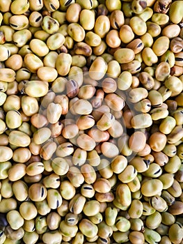 close up of Broad beans background