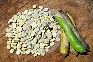 Broad beans