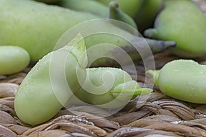 Broad beans Vicia faba var. major in pods and seeds photo