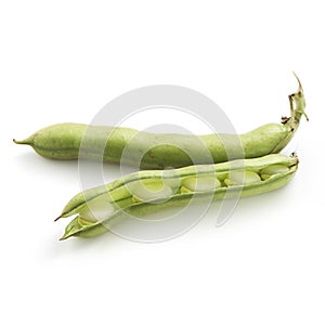 Broad beans on a white background