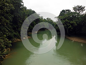 Broad Emerald Cahabon River Through Forest in Semuc Champey