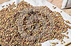 Broad or fava beans for sale at marketplace