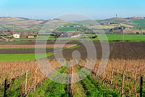 Broad panorama of the countryside in the south of Italy molise