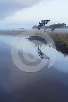 Broad Pool in the mist