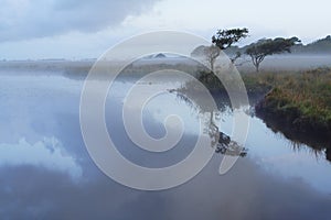 Broad Pool in the Mist