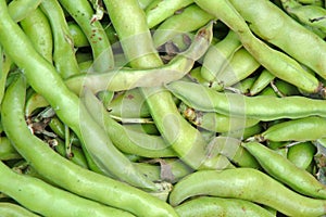 Broadbeans